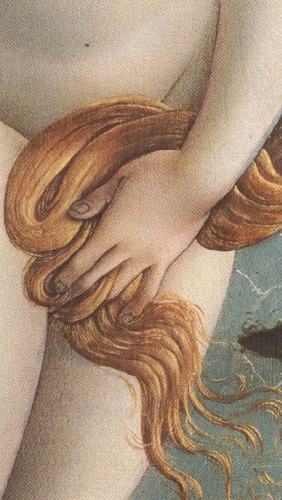 Sandro Botticelli The Birth of Venus (mk36)